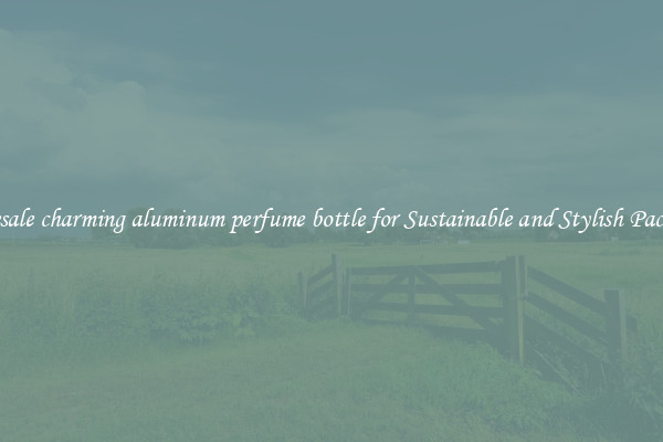 Wholesale charming aluminum perfume bottle for Sustainable and Stylish Packaging