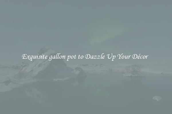 Exquisite gallon pot to Dazzle Up Your Décor  