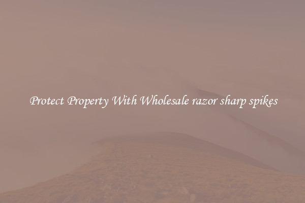 Protect Property With Wholesale razor sharp spikes