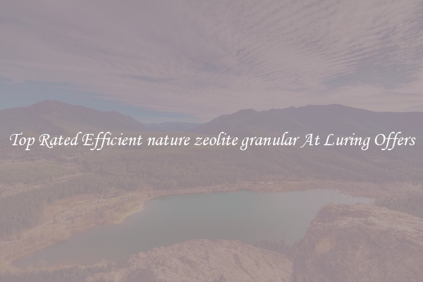 Top Rated Efficient nature zeolite granular At Luring Offers