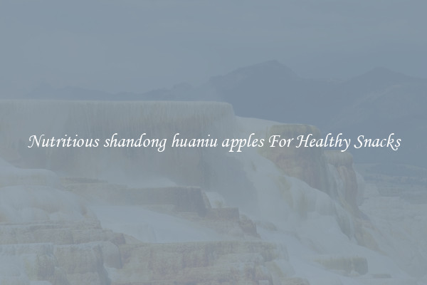 Nutritious shandong huaniu apples For Healthy Snacks