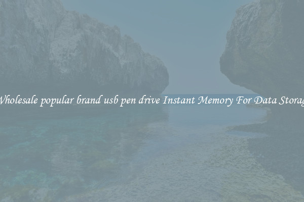 Wholesale popular brand usb pen drive Instant Memory For Data Storage