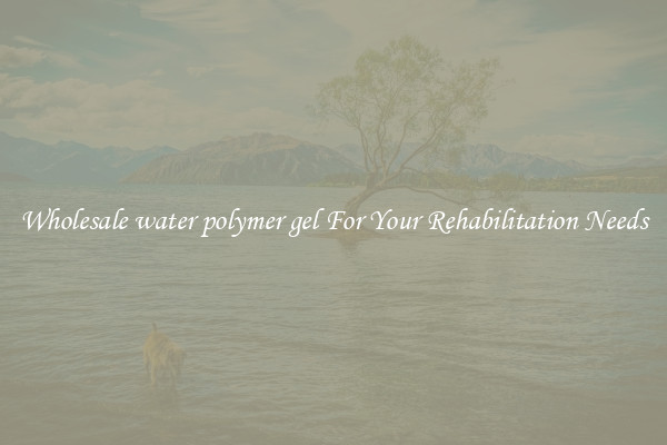 Wholesale water polymer gel For Your Rehabilitation Needs