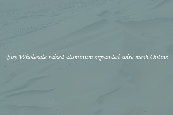 Buy Wholesale raised aluminum expanded wire mesh Online