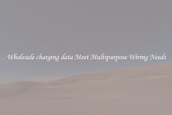 Wholesale charging data Meet Multipurpose Wiring Needs