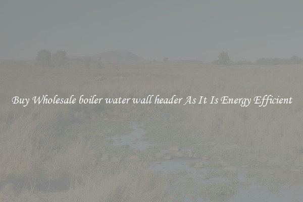 Buy Wholesale boiler water wall header As It Is Energy Efficient