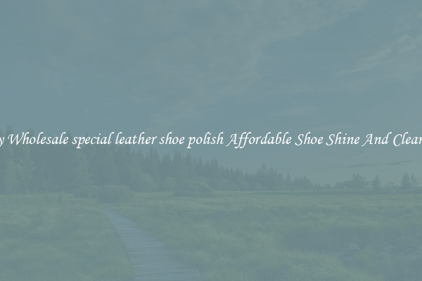 Buy Wholesale special leather shoe polish Affordable Shoe Shine And Cleaning