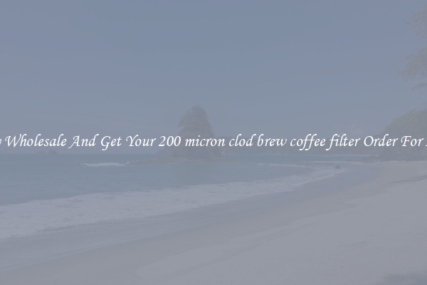 Buy Wholesale And Get Your 200 micron clod brew coffee filter Order For Less