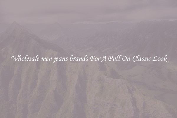 Wholesale men jeans brands For A Pull-On Classic Look