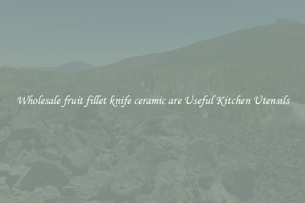 Wholesale fruit fillet knife ceramic are Useful Kitchen Utensils