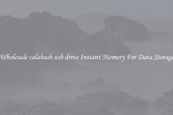 Wholesale calabash usb drive Instant Memory For Data Storage