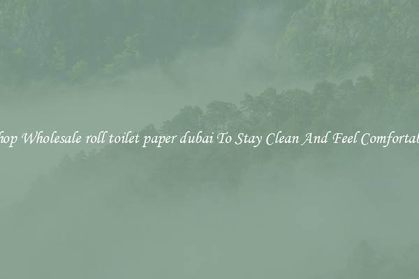 Shop Wholesale roll toilet paper dubai To Stay Clean And Feel Comfortable