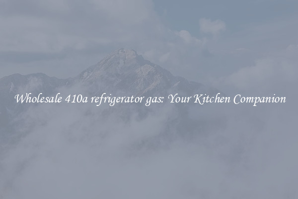 Wholesale 410a refrigerator gas: Your Kitchen Companion