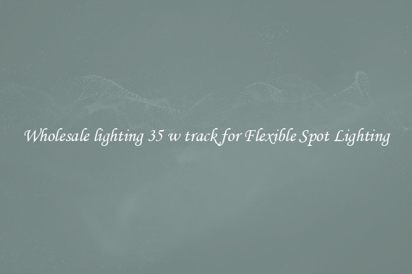 Wholesale lighting 35 w track for Flexible Spot Lighting