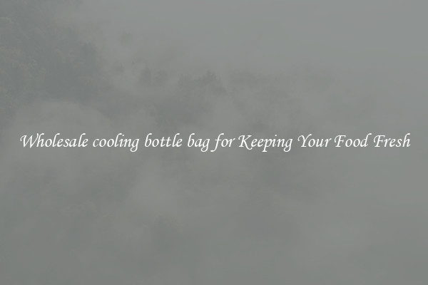 Wholesale cooling bottle bag for Keeping Your Food Fresh