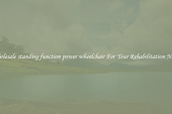 Wholesale standing function power wheelchair For Your Rehabilitation Needs