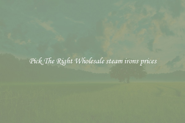 Pick The Right Wholesale steam irons prices