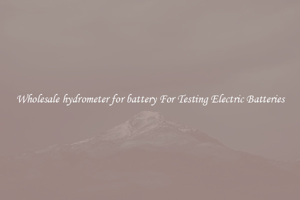 Wholesale hydrometer for battery For Testing Electric Batteries