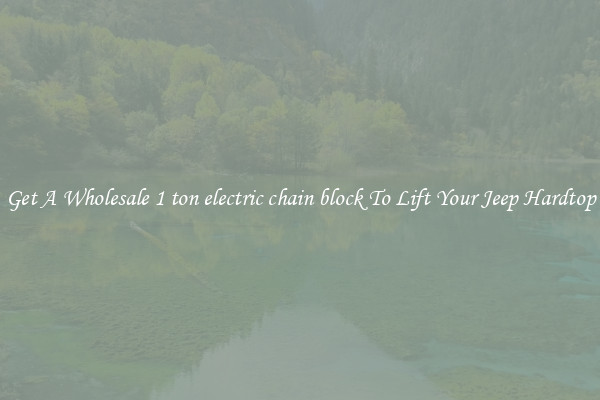 Get A Wholesale 1 ton electric chain block To Lift Your Jeep Hardtop