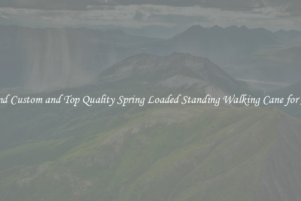 Find Custom and Top Quality Spring Loaded Standing Walking Cane for All