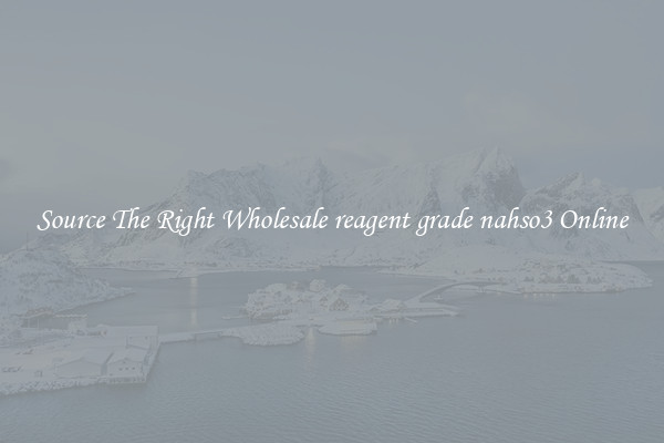 Source The Right Wholesale reagent grade nahso3 Online