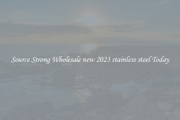Source Strong Wholesale new 2023 stainless steel Today
