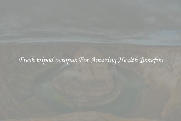 Fresh tripod octopus For Amazing Health Benefits